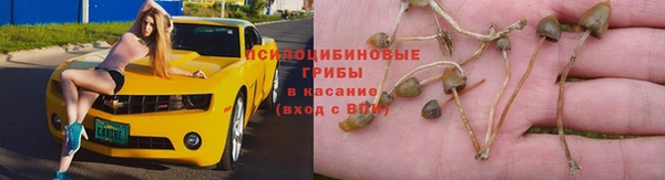 2c-b Абинск