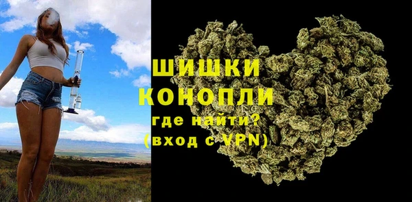 прущие грибы Покровск